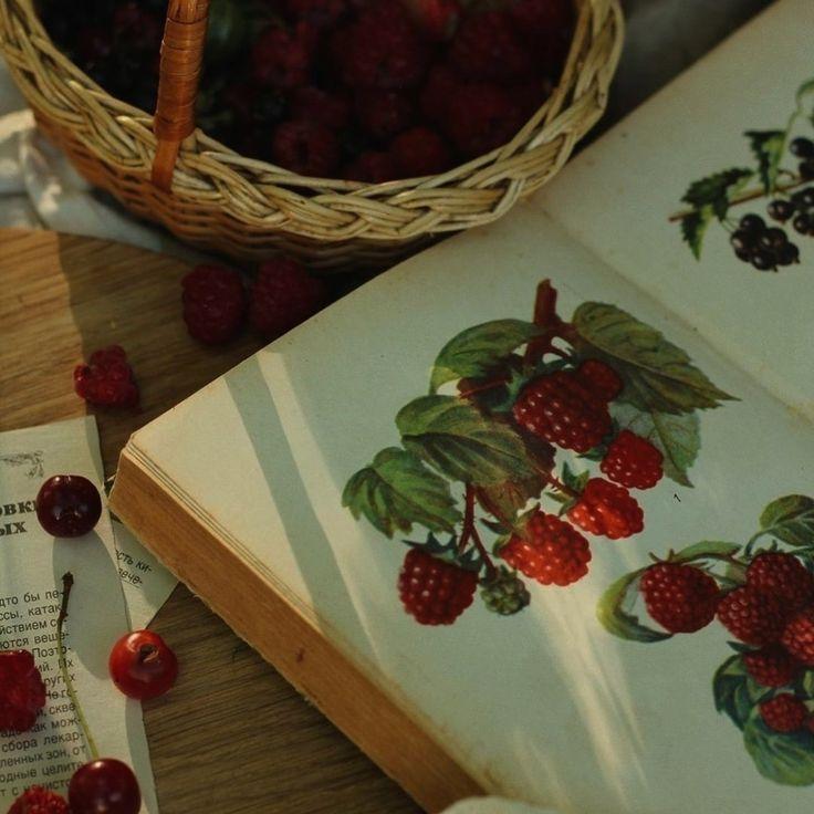 Sun-Kissed Berries: A Farmer's Medley